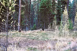 81 Rose Valley Rd, Republic, WA 99166 - Photo 23