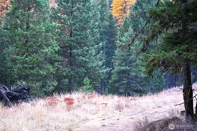 81 Rose Valley Rd, Republic, WA 99166 - Photo 19