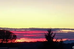 7317 N Skyview, Tacoma, WA 98406 - Photo 19