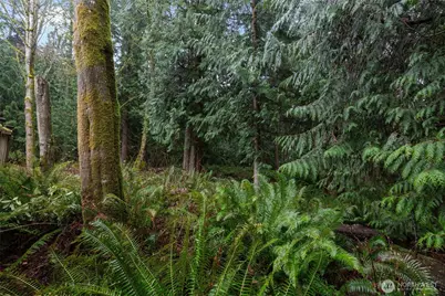 2408 208th Place SE, Bothell, WA 98021 - Photo 33