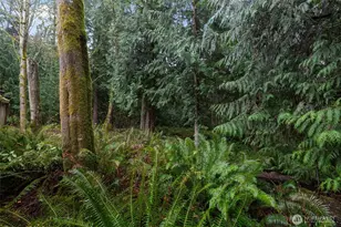 2408 208th Pl SE, Bothell, WA 98021 - Photo 33