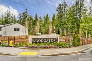 1760 246th Pl NE, Sammamish, WA 98074 - Photo 39