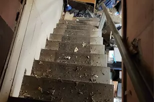 1111 NE 80th St, Seattle, WA 98115 - Photo 29