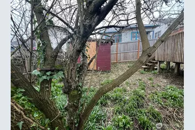 1111 NE 80th Street, Seattle, WA 98115 - Photo 11