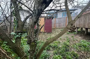 1111 NE 80th St, Seattle, WA 98115 - Photo 11