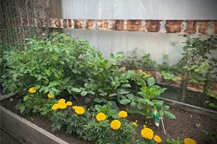 713 N Tower Ave, Centralia, WA 98531 - Photo 19