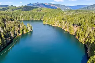 132 N Kokanee Cove Way, Hoodsport, WA 98548 - Photo 35