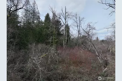 4 286th Avenue SE, Enumclaw, WA 98022 - Photo 23