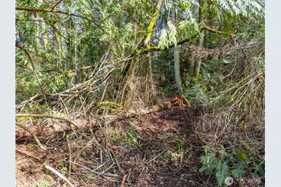 23400 Jefferson Point Road NE, Kingston, WA 98346 - Photo 9