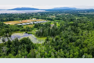 4256 Curtis Road, Bellingham, WA 98226 - Photo 7