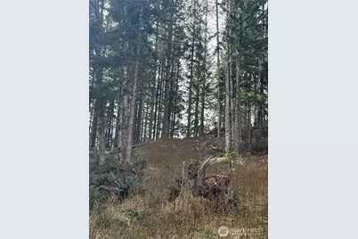53007 128th Avenue E, Eatonville, WA 98328 - Photo 13
