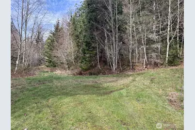 53007 128th Avenue E, Eatonville, WA 98328 - Photo 21