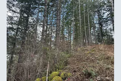 53007 128th Avenue E, Eatonville, WA 98328 - Photo 7