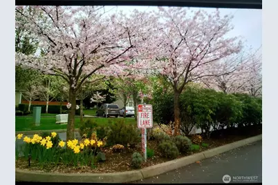 538 241st Lane SE, Sammamish, WA 98074 - Photo 7