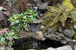 7017 NE 155th Pl, Kenmore, WA 98028 - Photo 31