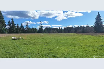 664 Rhoades Road, Winlock, WA 98596 - Photo 7