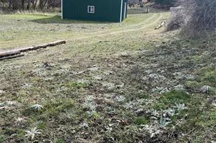 60 Pataha Canyon, Pomeroy, WA 99347 - Photo 5