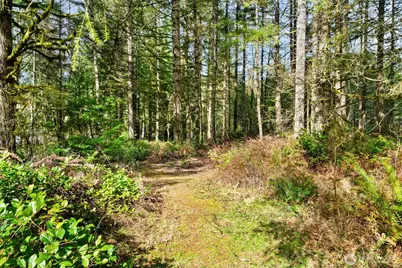 320 E Rivendell Road, Grapeview, WA 98964 - Photo 33