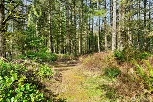 320 E Rivendell Rd, Grapeview, WA 98964 - Photo 33