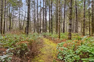 320 E Rivendell Rd, Grapeview, WA 98964 - Photo 35