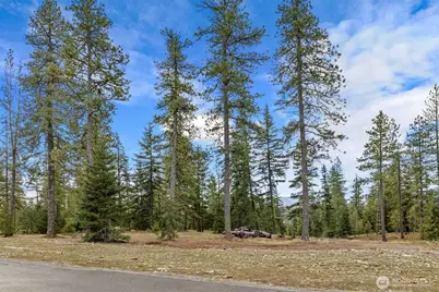 17 Wanawish Loop, Cle Elum, WA 98922 - Photo 7