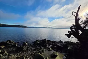 81 Wawa Point Pl, Brinnon, WA 98320 - Photo 9