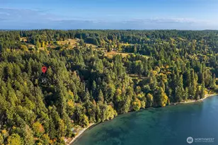 12423 SW 151st St, Vashon, WA 98070 - Photo 33