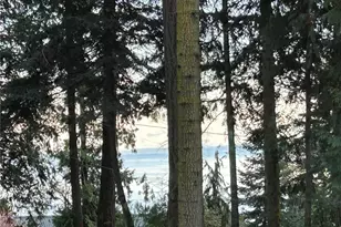 10278 NE Shore Dr, Indianola, WA 98342 - Photo 31