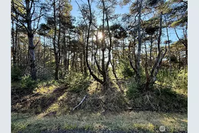 1 Xx Strand Street, Westport, WA 98595 - Photo 37