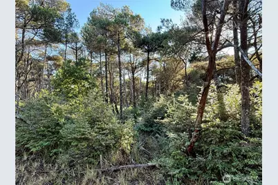 1 Xx Strand Street, Westport, WA 98595 - Photo 31