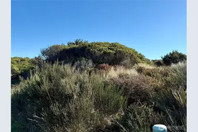 1 Xx Strand Street, Westport, WA 98595 - Photo 23