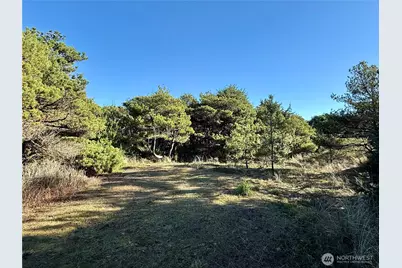 1 Xx Strand Street, Westport, WA 98595 - Photo 29