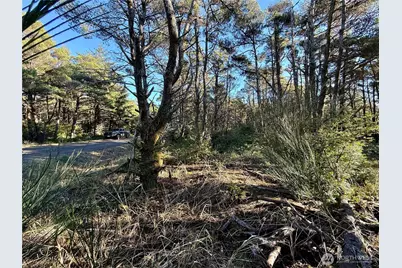 1 Xx Strand Street, Westport, WA 98595 - Photo 35