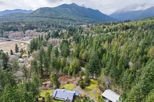 309723 Hwy 101, Brinnon, WA 98320 - Photo 5