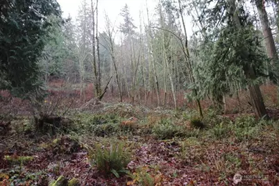 18700 SE 64th Way, Issaquah, WA 98027 - Photo 7