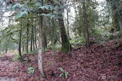 18700 SE 64th Way, Issaquah, WA 98027 - Photo 9