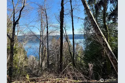 61 Devereaux Drive, Lilliwaup, WA 98555 - Photo 23