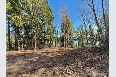 61 Devereaux Drive, Lilliwaup, WA 98555 - Photo 27