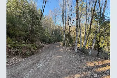 61 Devereaux Drive, Lilliwaup, WA 98555 - Photo 33