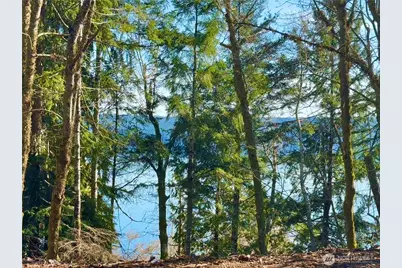 61 Devereaux Drive, Lilliwaup, WA 98555 - Photo 25