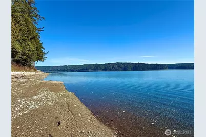 61 Devereaux Drive, Lilliwaup, WA 98555 - Photo 5