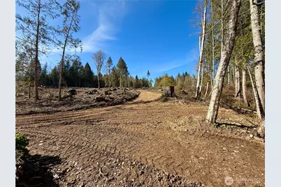 63 Devereaux Drive, Lilliwaup, WA 98555 - Photo 15