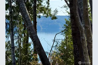 63 Devereaux Drive, Lilliwaup, WA 98555 - Photo 37