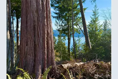 63 Devereaux Drive, Lilliwaup, WA 98555 - Photo 1