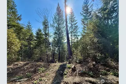 63 Devereaux Drive, Lilliwaup, WA 98555 - Photo 11