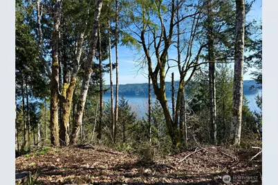 63 Devereaux Drive, Lilliwaup, WA 98555 - Photo 27