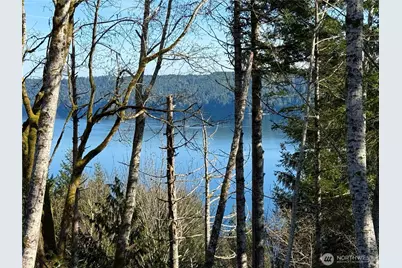 63 Devereaux Drive, Lilliwaup, WA 98555 - Photo 33