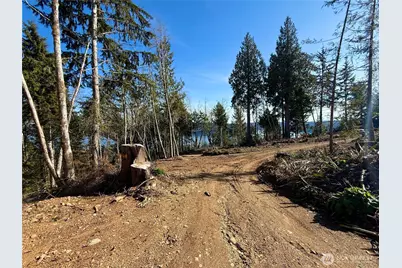 63 Devereaux Drive, Lilliwaup, WA 98555 - Photo 3