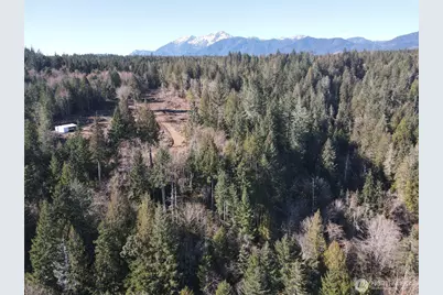 63 Devereaux Drive, Lilliwaup, WA 98555 - Photo 31