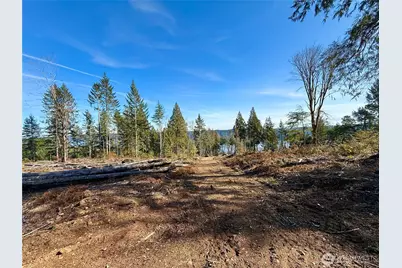 65 Devereaux Drive, Lilliwaup, WA 98555 - Photo 9
